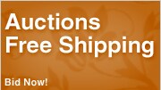 Shop Auctions