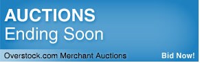 Overstock.com Merchant Auctions