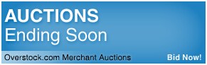 Overstock.com Merchant Auctions