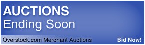 Overstock.com Merchant Auctions