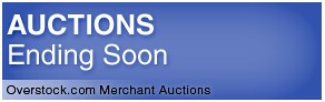 Overstock.com Merchant Auctions