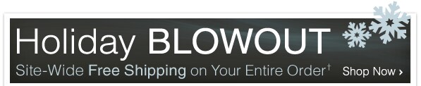 HOLIDAY BLOWOUT + SITE-WIDE FREE SHIPPING&dagger