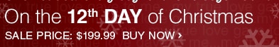 12th Day of Christmas Deal
