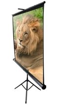 Projector screen