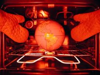 Earth-friendly kitchen