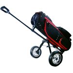 Golf bag cart
