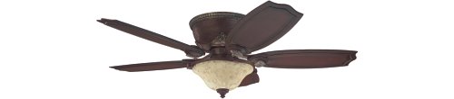 Ceiling hugger fan