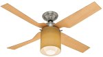 Energy star-rated ceiling fan