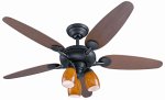 Ceiling fan with lights