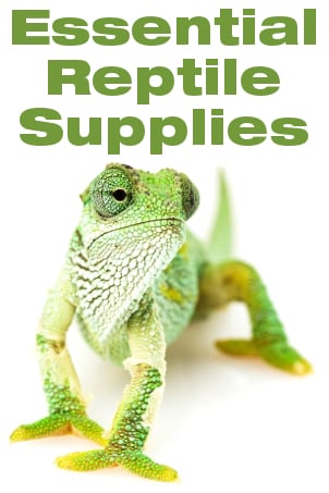 Fish Supplies - Overstock Shopping - The Best Prices Online