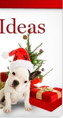 More Gift Ideas