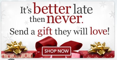 Top 100 Christmas Gifts