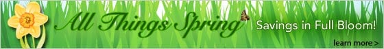 All Things Spring - Learn More