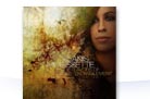 Alanis Morissette - Flavors Of Entanglement