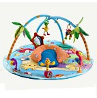 Baby Activity Gear
