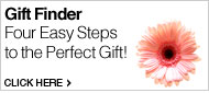 Gift Finder