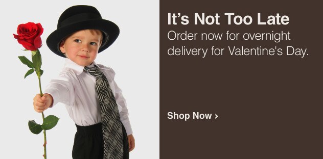 Valentine's Day - Shop Now