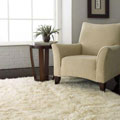Area Rugs