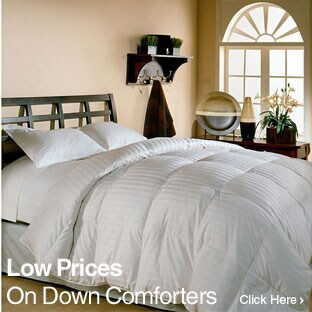 Down Comforters
