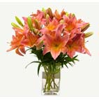 Bouquets