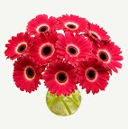 Bouquets