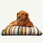 Pet Supplies