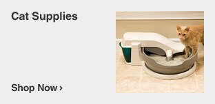 Cat Supplies