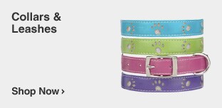 Collars, Harnesses & Leashes