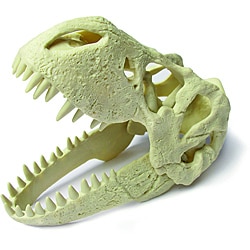 Children's Dino T-Rex Skull Plastic Excavation Kit with Tools